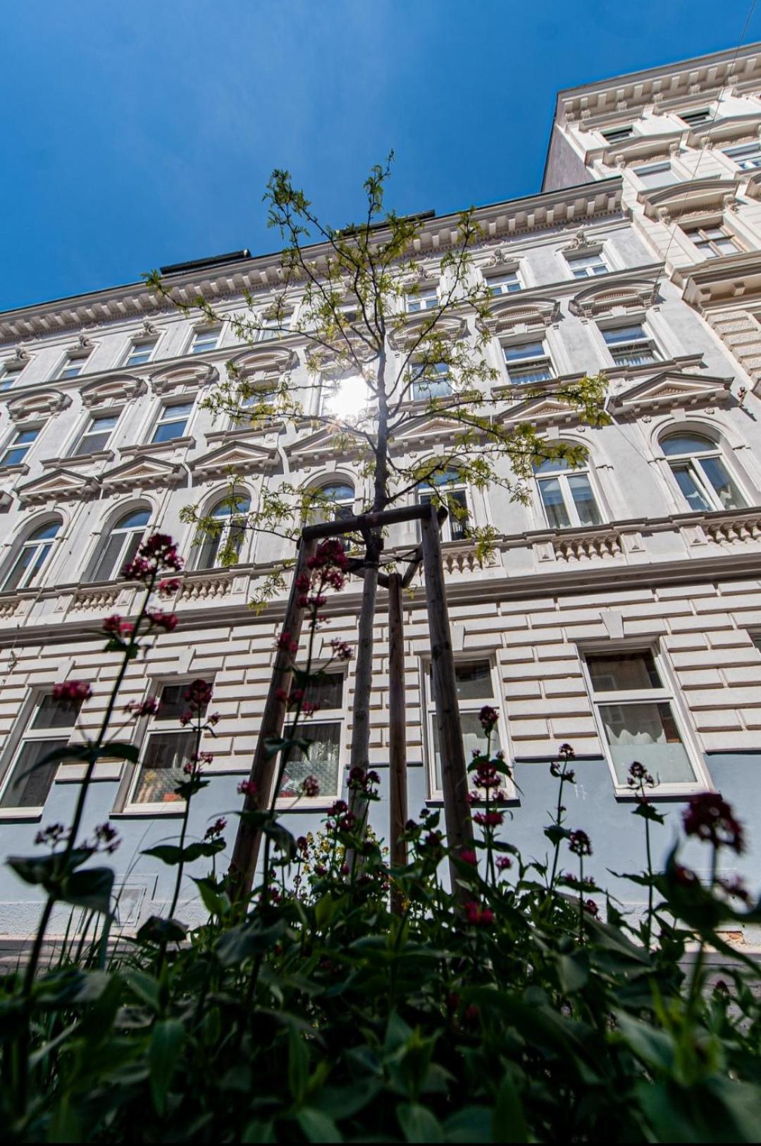 Vienna My City Apartment 1 Bedroom Экстерьер фото